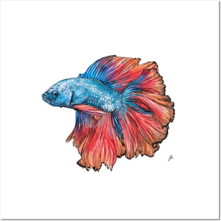 Siamese Fighting Fish Posters and Art